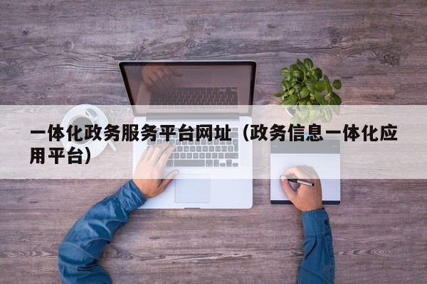 一体化政务服务平台网址（政务信息一体化应用平台）