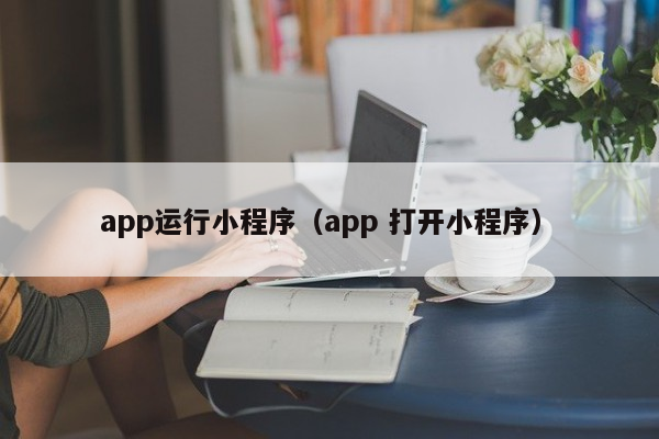 app运行小程序（app 打开小程序）