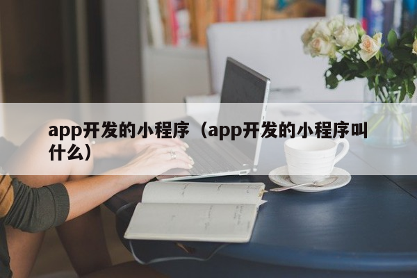 app开发的小程序（app开发的小程序叫什么）