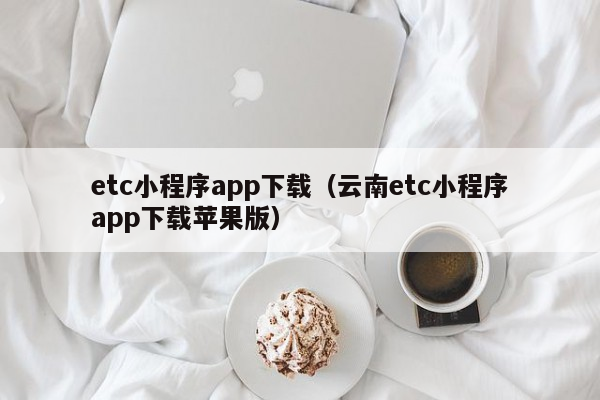 etc小程序app下载（云南etc小程序app下载苹果版）