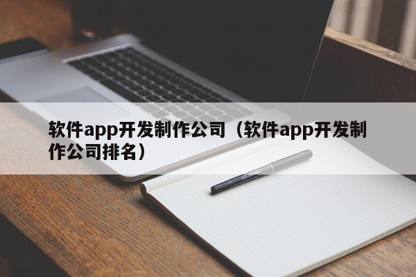 软件app开发制作公司（软件app开发制作公司排名）