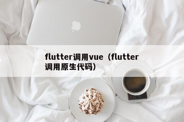 flutter调用vue（flutter调用原生代码）