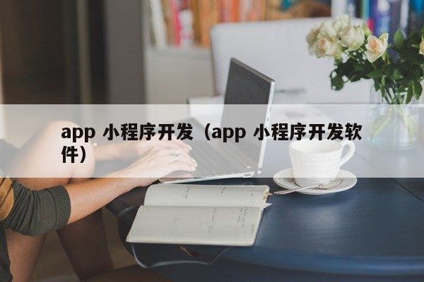 app 小程序开发（app 小程序开发软件）