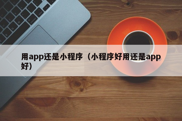 用app还是小程序（小程序好用还是app好）