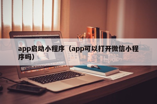 app启动小程序（app可以打开微信小程序吗）