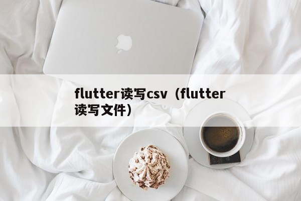 flutter读写csv（flutter读写文件）