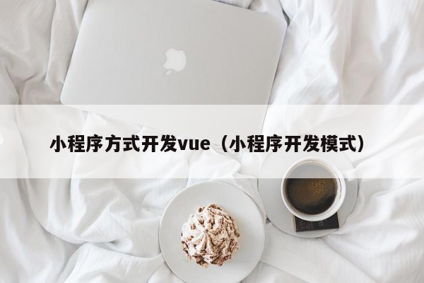 小程序方式开发vue（小程序开发模式）