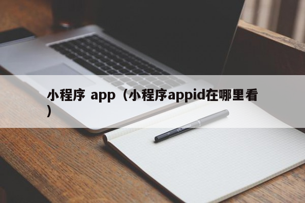 小程序 app（小程序appid在哪里看）