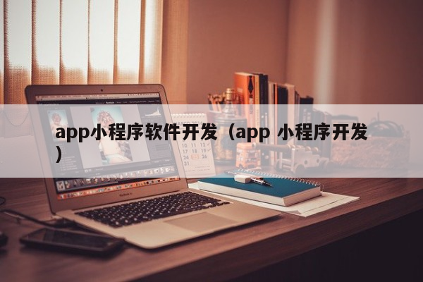 app小程序软件开发（app 小程序开发）