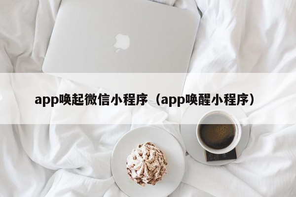 app唤起微信小程序（app唤醒小程序）