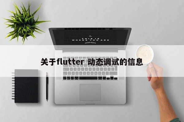 关于flutter 动态调试的信息