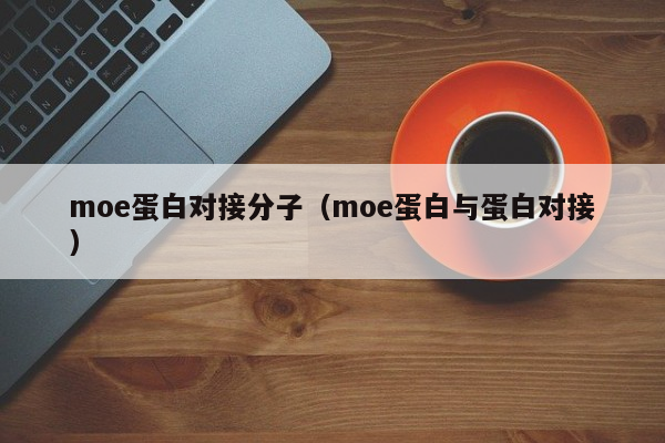 moe蛋白对接分子（moe蛋白与蛋白对接）