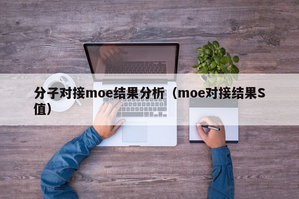 分子对接moe结果分析（moe对接结果S值）