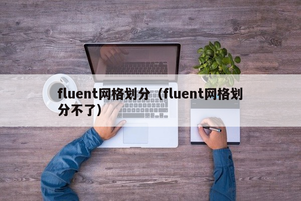 fluent网格划分（fluent网格划分不了）