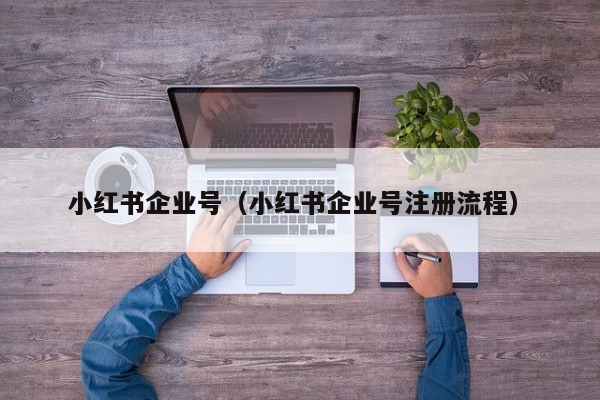 小红书企业号（小红书企业号注册流程）