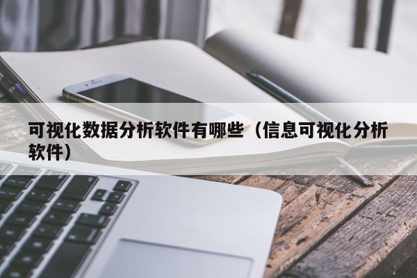 可视化数据分析软件有哪些（信息可视化分析软件）