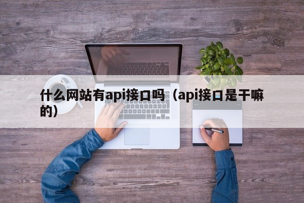 什么网站有api接口吗（api接口是干嘛的）