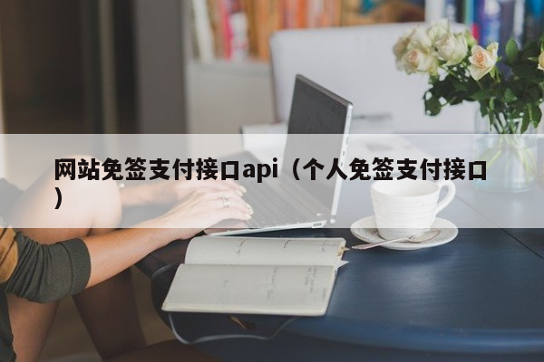 网站免签支付接口api（个人免签支付接口）