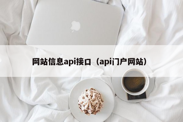 网站信息api接口（api门户网站）