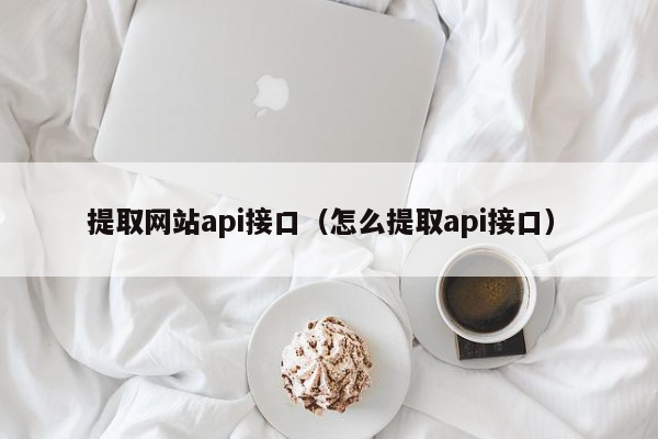 提取网站api接口（怎么提取api接口）