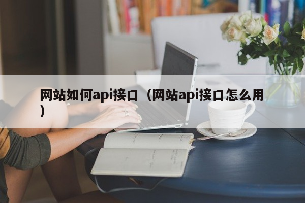 网站如何api接口（网站api接口怎么用）