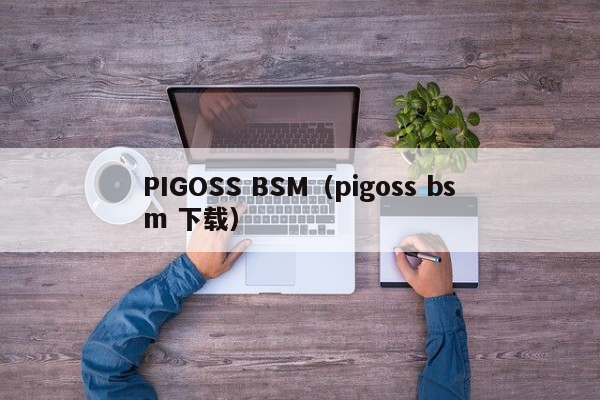 PIGOSS BSM（pigoss bsm 下载）