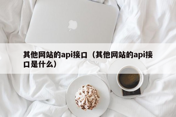 其他网站的api接口（其他网站的api接口是什么）