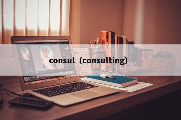 consul（consulting）