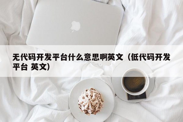 无代码开发平台什么意思啊英文（低代码开发平台 英文）