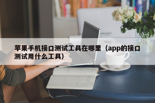 苹果手机接口测试工具在哪里（app的接口测试用什么工具）