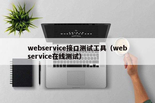 webservice接口测试工具（webservice在线测试）