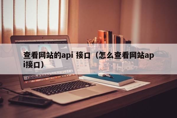 查看网站的api 接口（怎么查看网站api接口）