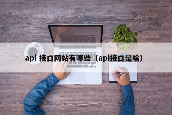 api 接口网站有哪些（api接口是啥）