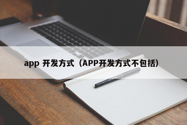 app 开发方式（APP开发方式不包括）