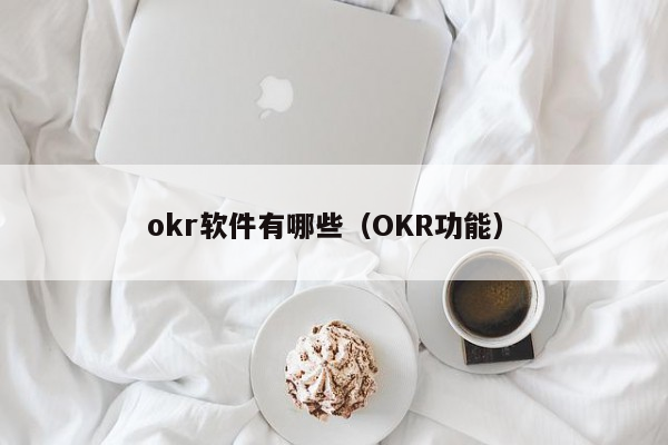 okr软件有哪些（OKR功能）