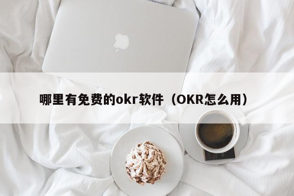 哪里有免费的okr软件（OKR怎么用）