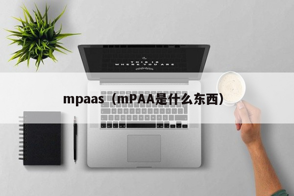mpaas（mPAA是什么东西）