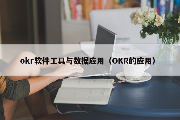 okr软件工具与数据应用（OKR的应用）