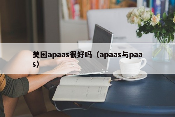 美国apaas很好吗（apaas与paas）