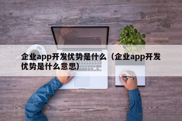 企业app开发优势是什么（企业app开发优势是什么意思）