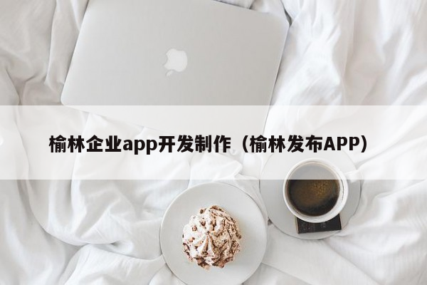 榆林企业app开发制作（榆林发布APP）