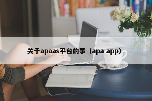 关于apaas平台的事（apa app）