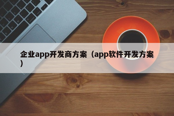 企业app开发商方案（app软件开发方案）