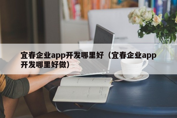 宜春企业app开发哪里好（宜春企业app开发哪里好做）