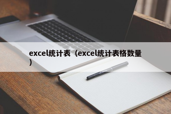 excel统计表（excel统计表格数量）