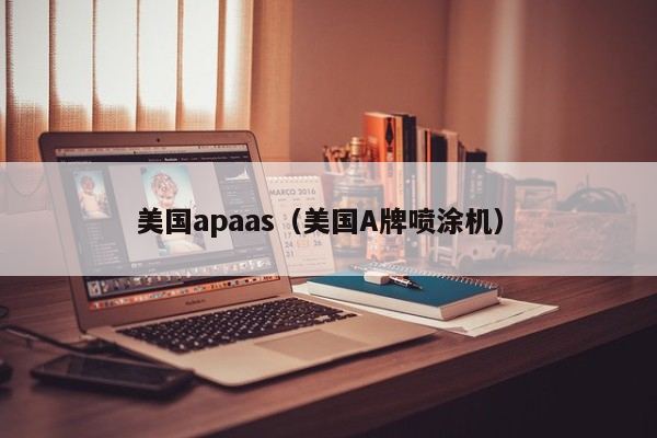 美国apaas（美国A牌喷涂机）