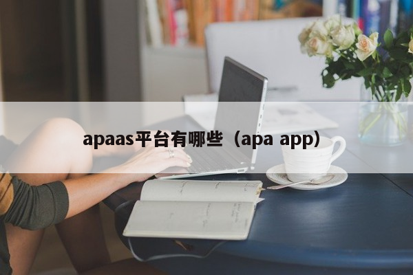 apaas平台有哪些（apa app）