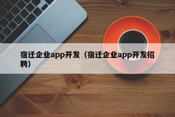 宿迁企业app开发（宿迁企业app开发招聘）