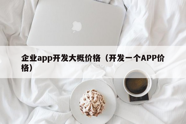 企业app开发大概价格（开发一个APP价格）