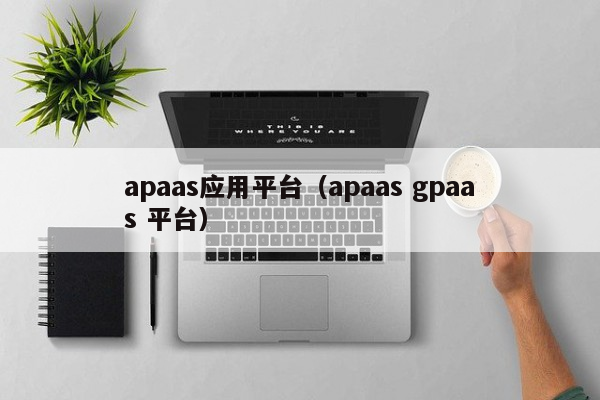 apaas应用平台（apaas gpaas 平台）